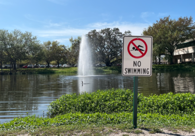 USF’s Castor Beach: What lies beneath the surface